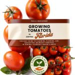 Farming 4 All - Backyard Farming in Central Florida for Kids-0