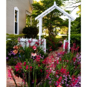 Texas A&M University Press Gardening Guide Kindle Edition-0