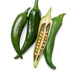 Regional Vegetable Gardening Guide by Timber Press-0