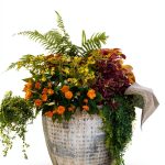 South Region Gardening Guide by Liberty Street-0