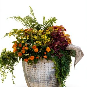 South Region Gardening Guide by Liberty Street-0