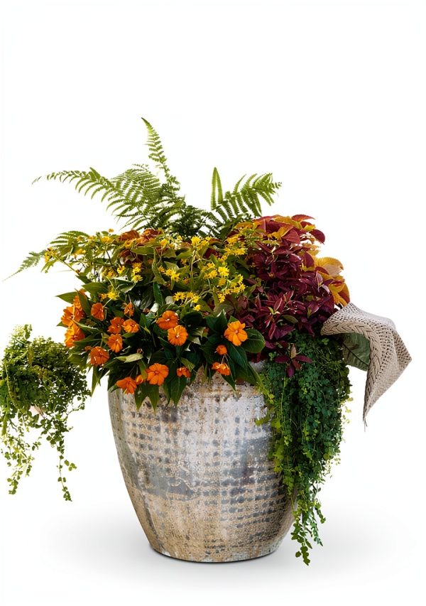 South Region Gardening Guide by Liberty Street-0